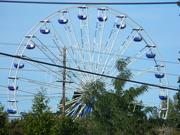 11th Oct 2019 - Blue Ferris Wheel 
