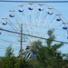 Blue Ferris Wheel  by sfeldphotos
