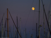 11th Oct 2019 - Moon Over Santa Barbara Harbor