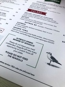 7th Oct 2019 - Do Not Feed the Seagulls