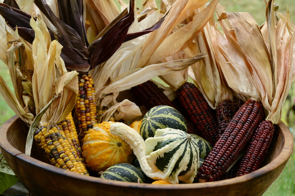 Harvest Time Bowl by francoise