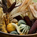Harvest Time Bowl by francoise