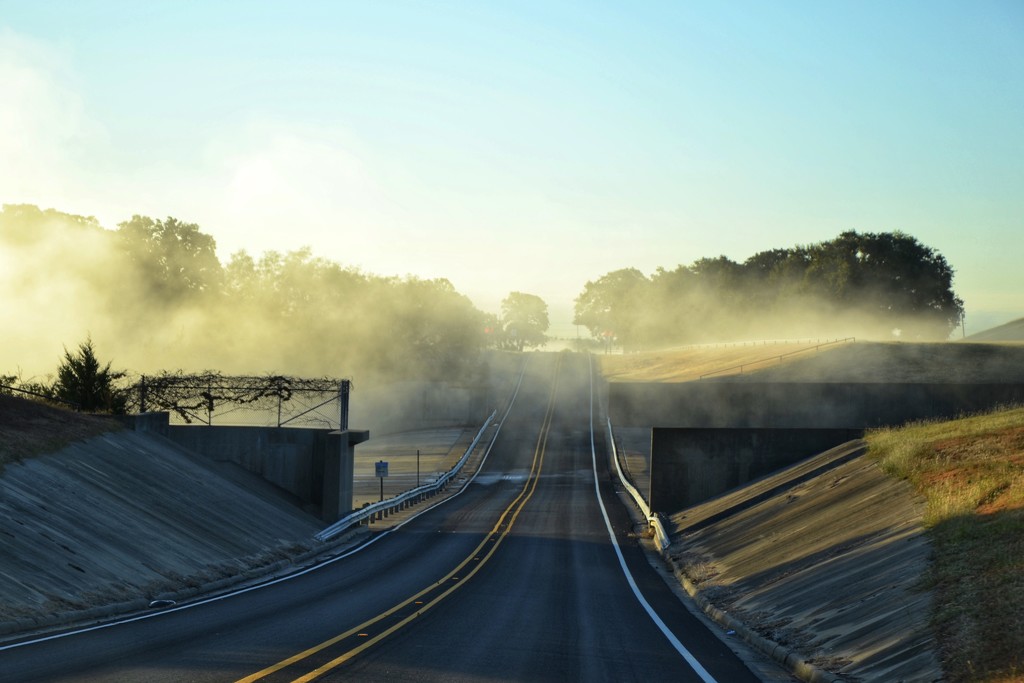 Early morning on the Lake Grapevine Dam Road by louannwarren