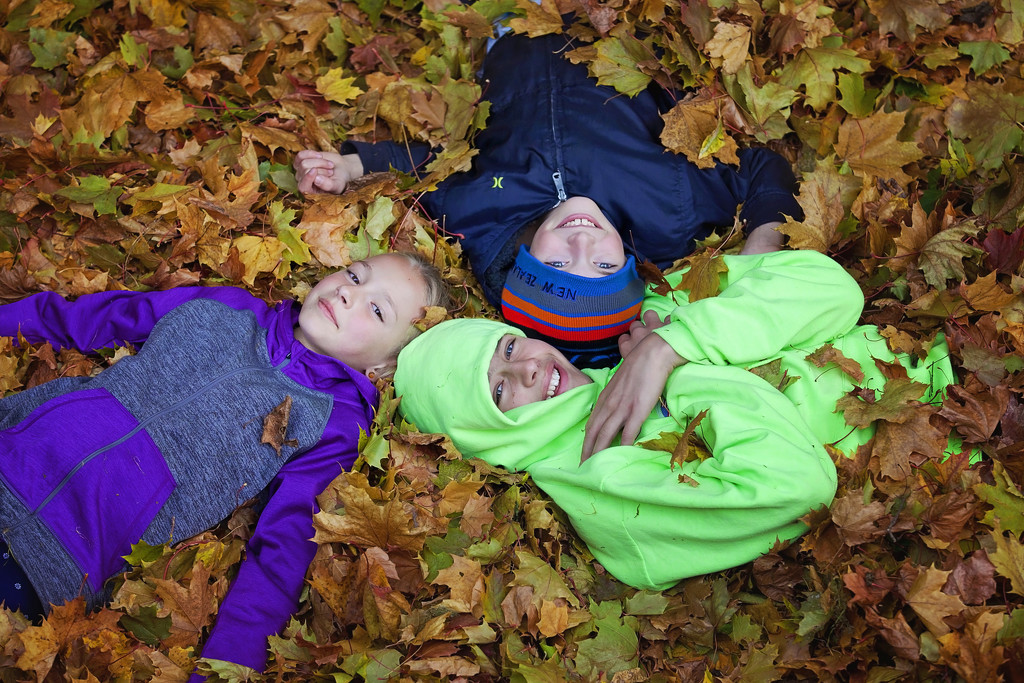 Kids in the leaves by kiwichick