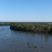 Mississippi Morning - Panorama by lsquared