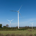 Windfarm  ludington, mi by jackies365