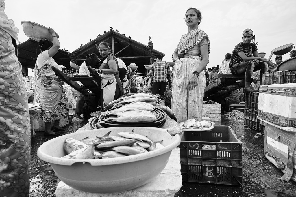 Fish Market by stefanotrezzi