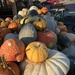 Pile of pumpkins by beckyk365