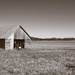 Barn On The Bottomlands by lsquared
