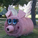 When pigs fly by eudora