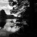 Trégu Lake & Woodland by s4sayer
