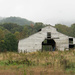 Empty barn by randystreat
