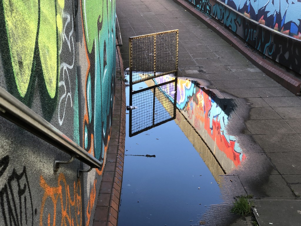 Graffiti reflection by shepherdmanswife