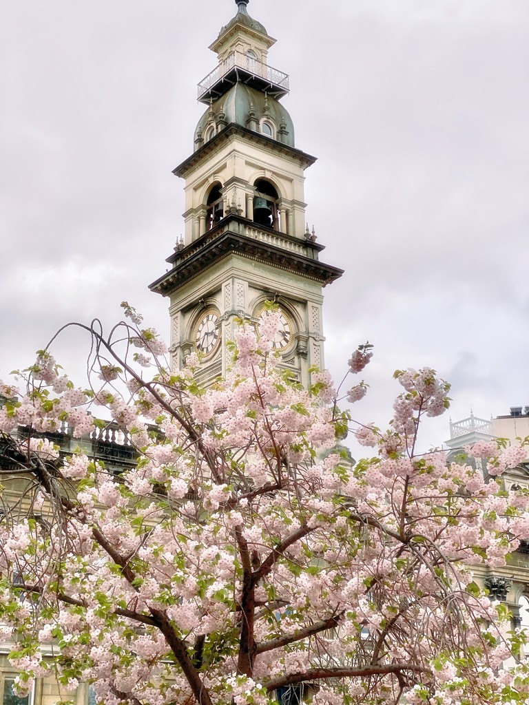 Spring in the City by maggiemae