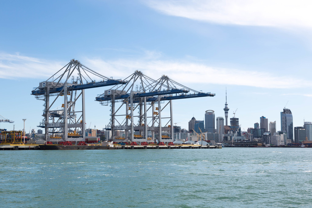 Port of Auckland Canes by creative_shots