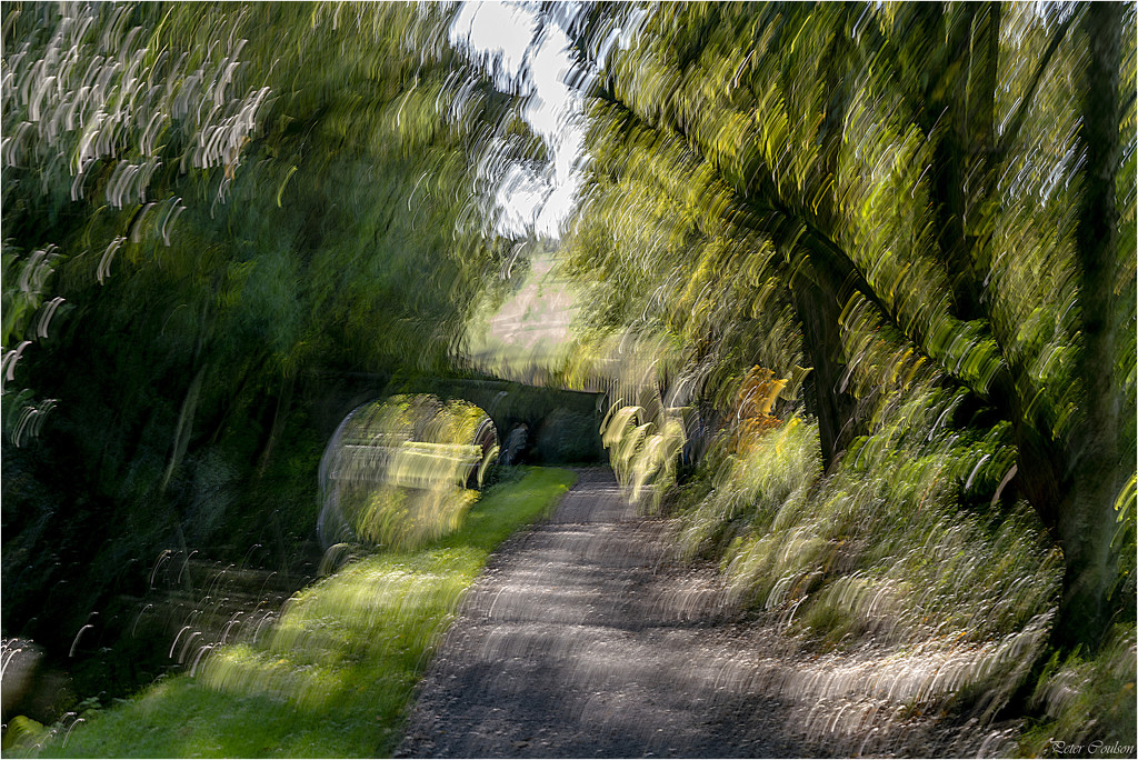 ICM along the canal by pcoulson