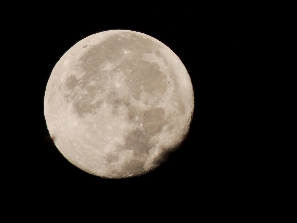 Full Moon october 14 by dianezelia