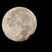 Full Moon october 14 by dianezelia
