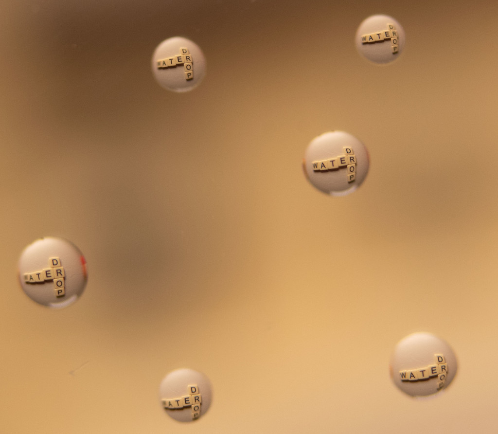 Water Drops by tdaug80