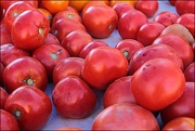 13th Oct 2019 - Tomatoes at the Farmer's Market