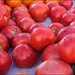 Tomatoes at the Farmer's Market by olivetreeann