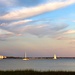 Sailboats in Charleston Harbor the other evening at sunset. by congaree