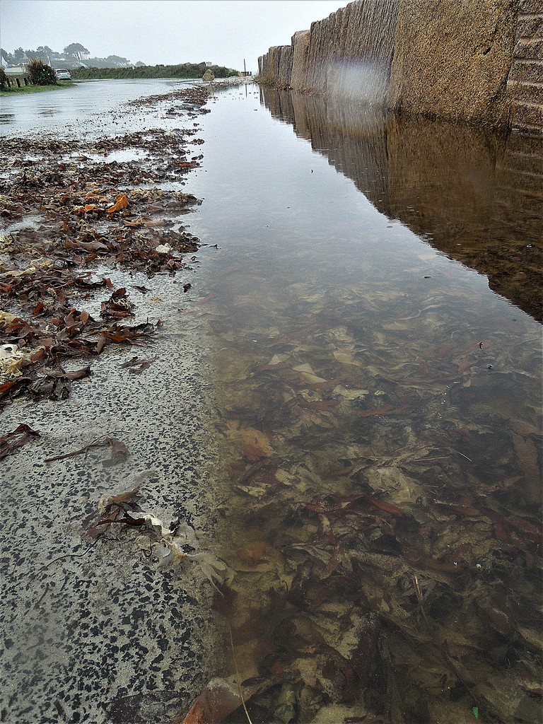 Spring tide overspill by etienne