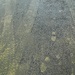 Muddy road tracks after the rain by etienne
