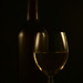 "Wine is sunlight, held together by water.” Galileo by jayberg