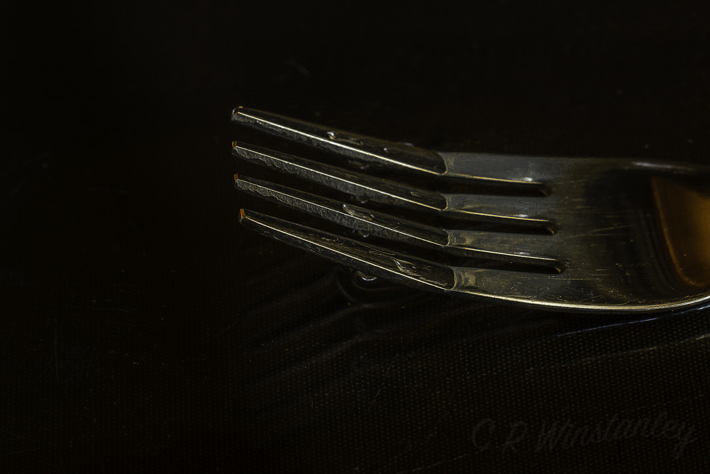 Fork in Water by kipper1951