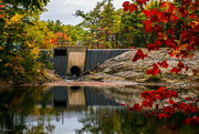 16th Oct 2019 - Autumn in Nova Scotia