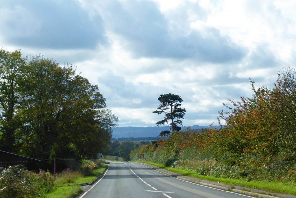 A quiet road heading South by speedwell