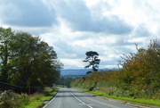 19th Oct 2019 - A quiet road heading South