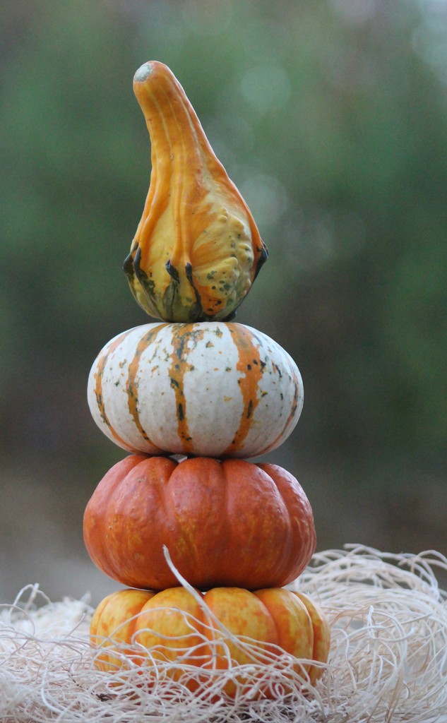 Gourd Tower by paintdipper