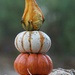 Gourd Tower by paintdipper
