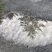 The world in a puddle  by pandorasecho