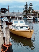 15th Oct 2019 - View of Mordialloc Creek