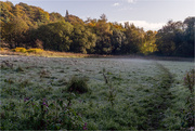 20th Oct 2019 - Frost in the shadows