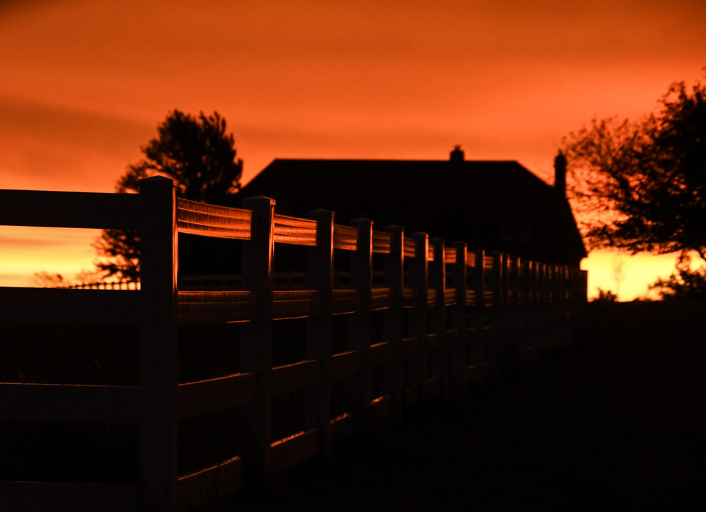 Sunrise Reflection on Fence by kareenking