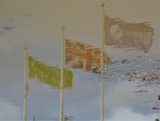 14th Oct 2019 - Flags of reflection 