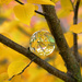 Fall in a Ball! by fayefaye
