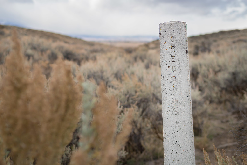 Oregon Trail by tina_mac