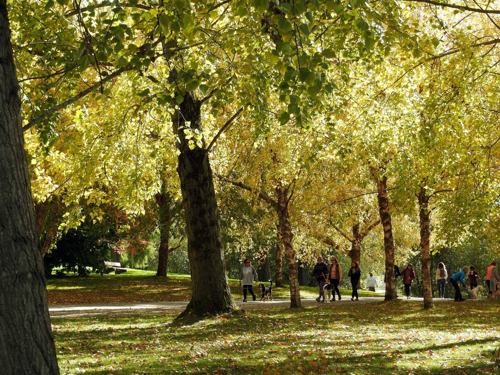 Green Lake Walking Path by seattlite