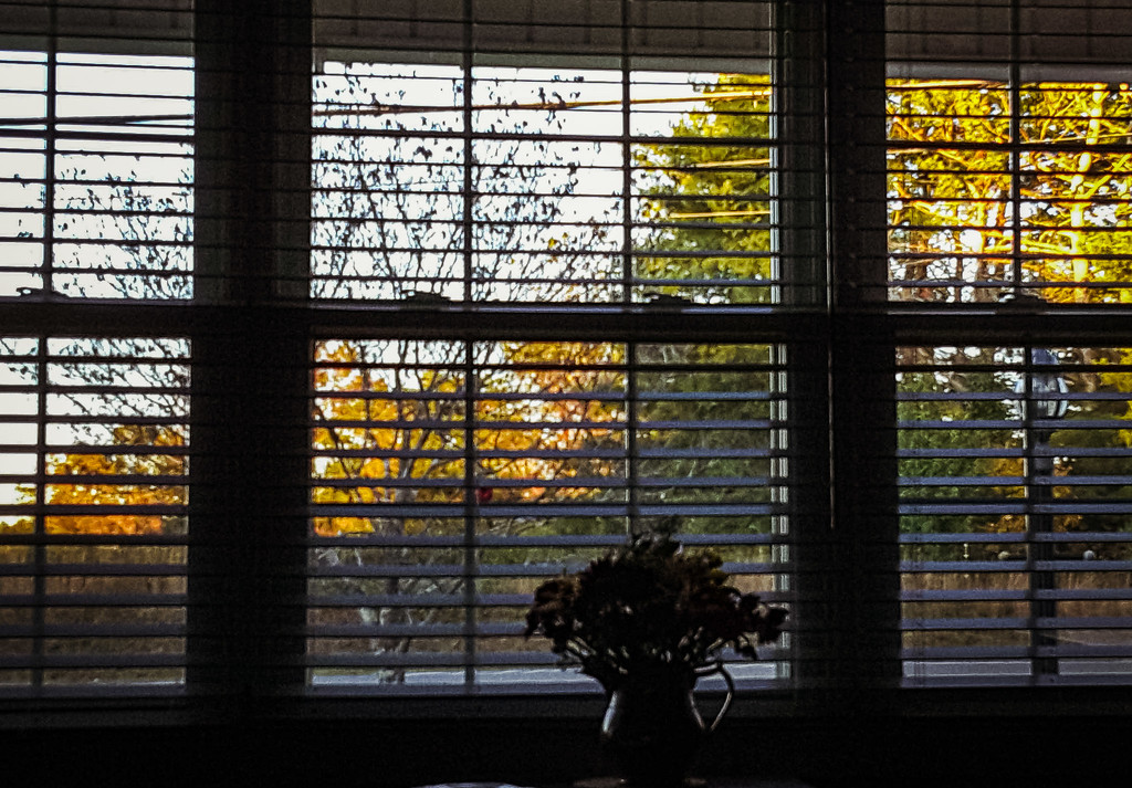Autumn evening through the front window by randystreat