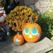 Painted Pumpkins by jo38
