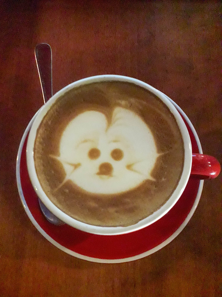 Cat picture on my Coffee by creative_shots