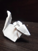 22nd Oct 2019 - Moosh: Origami 