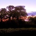 Norfolk Sunrise by lellie