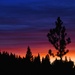Sunset Twain Harte  by joysfocus