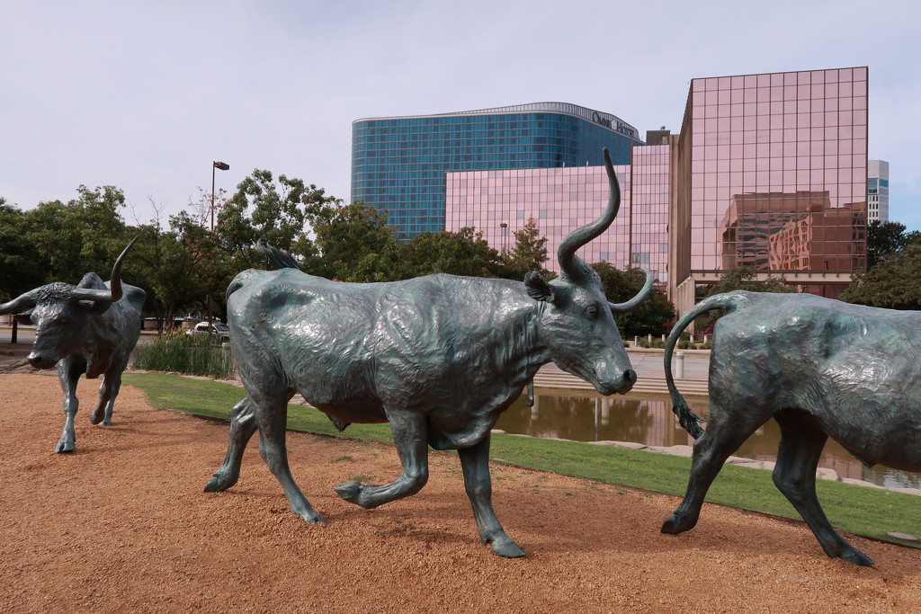 Pioneer plaza, Dallas by ingrid01